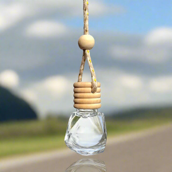 Hanging Pendant Car Air Freshener - 60 days