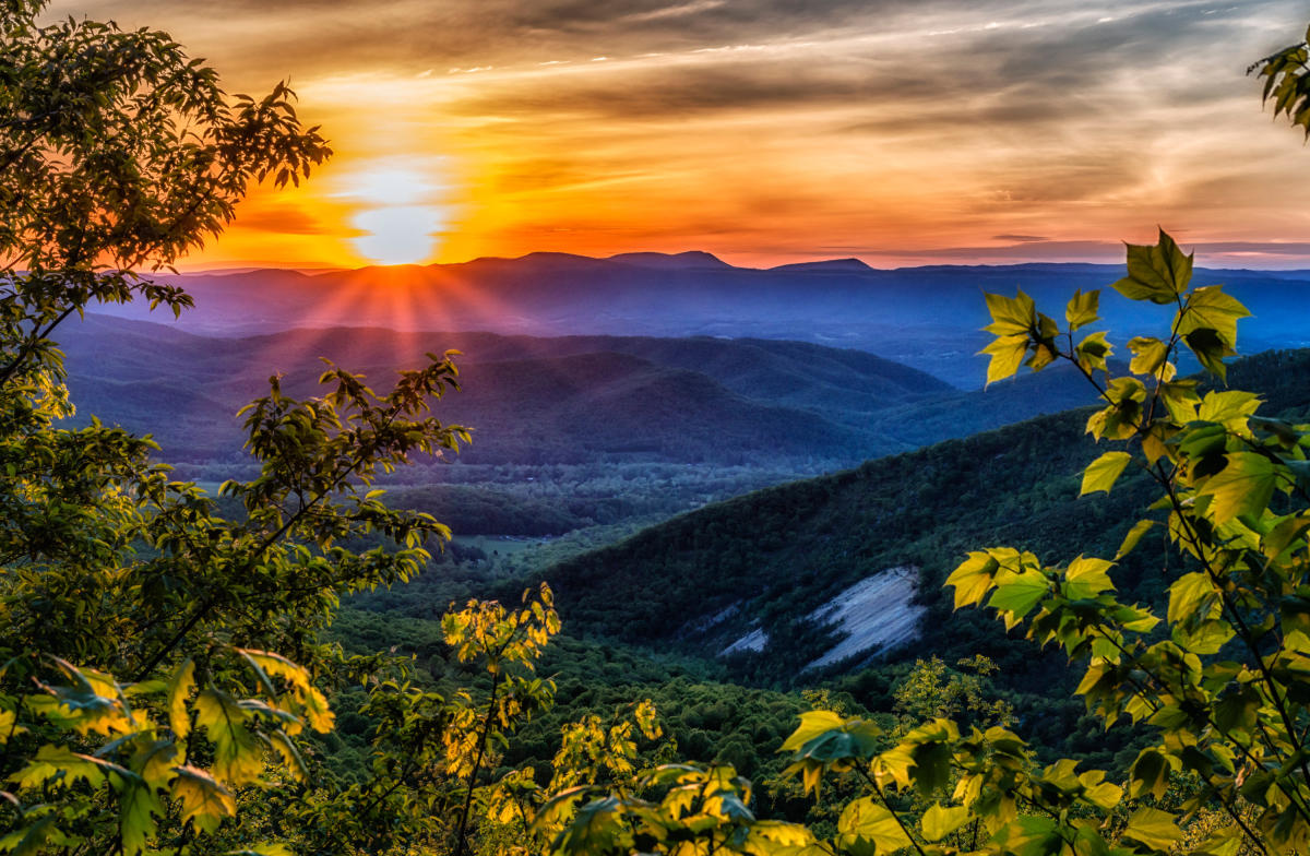 Blue Ridge Tree Man The Blue Ridge Mountains: Older Than the Trees – Blue Ridge Whispers