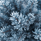 Blue Ridge Frost Soy Wax Melts
